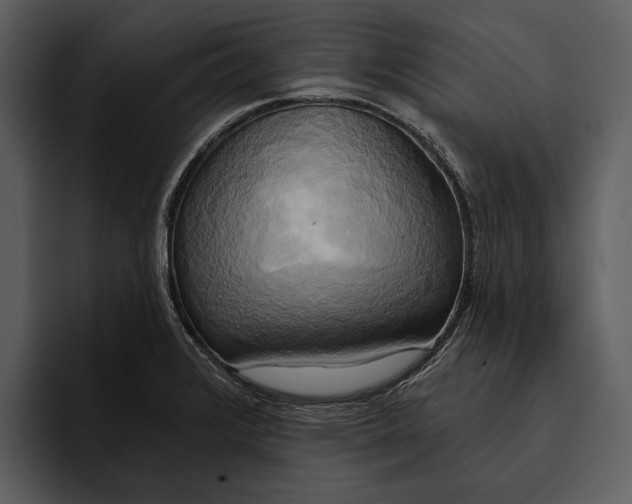 X0000095681376200801291148