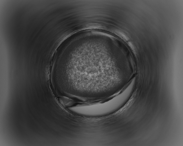 X0000095681377200801291148