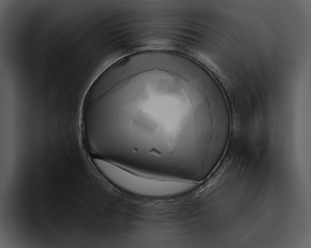 X0000095681378200801291148