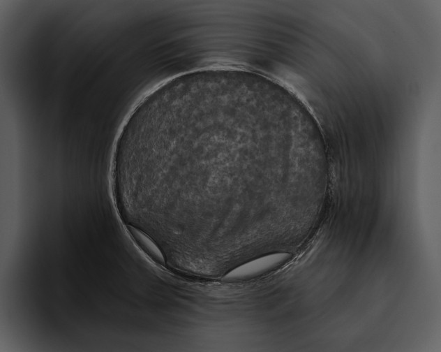 X0000095681379200801291148