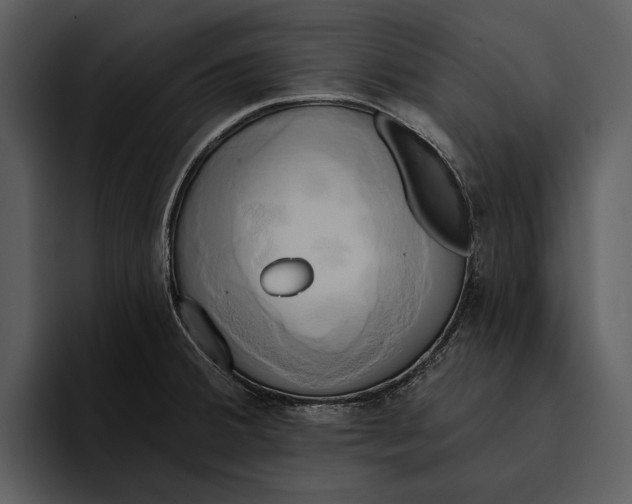 X0000095681380200801291148