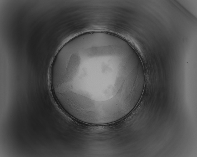 X0000095681382200801291148