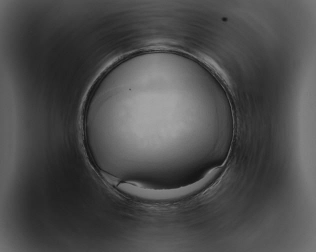 X0000095681384200801291148