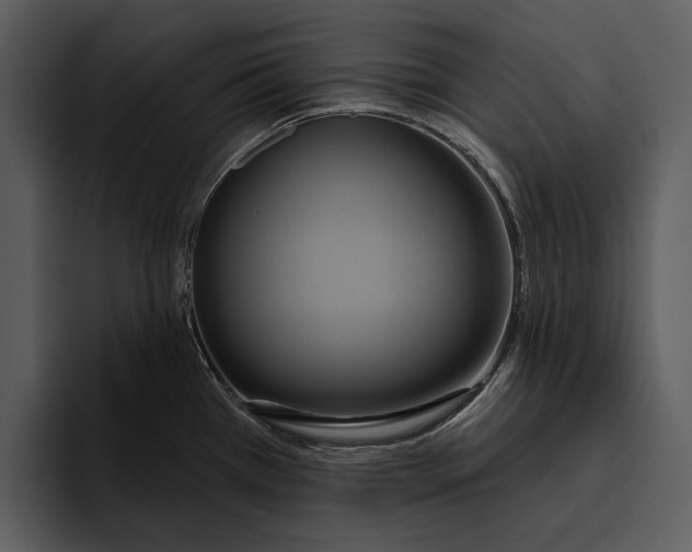 X0000095681385200801291148