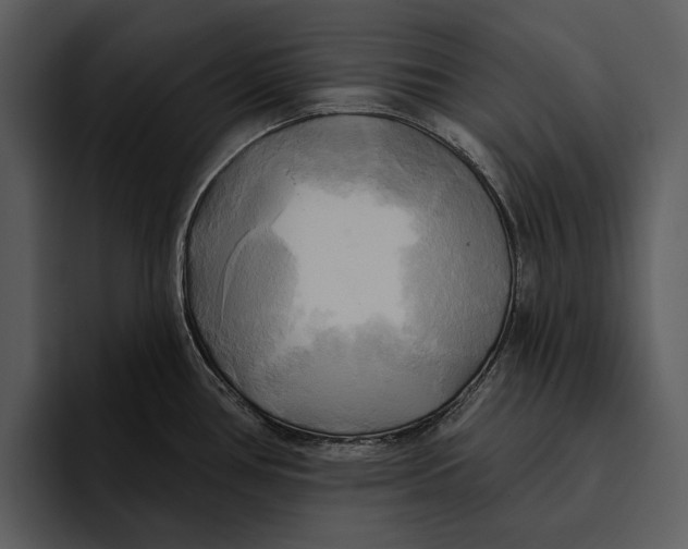 X0000095681386200801291148