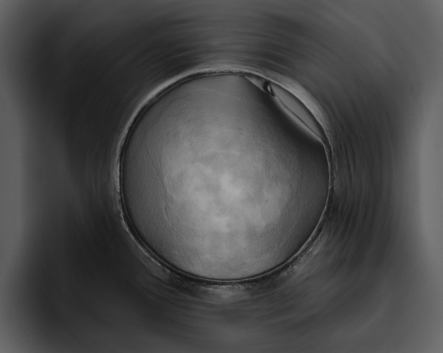 X0000095681388200801291148