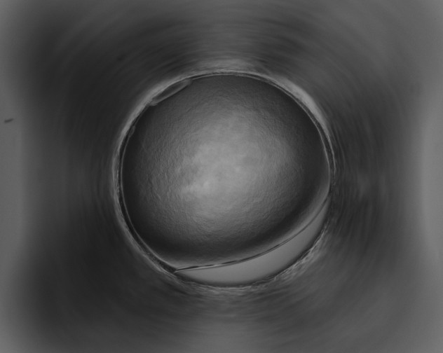 X0000095681389200801291148