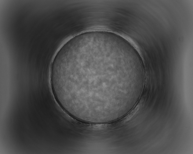 X0000095681390200801291148