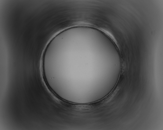 X0000095681391200801291148