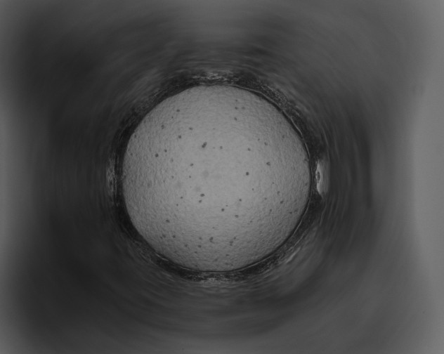 X0000095681395200801291147