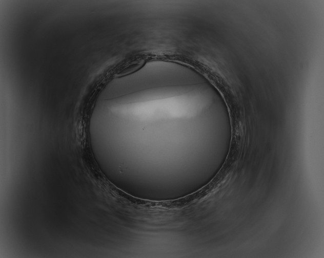 X0000095681398200801291147