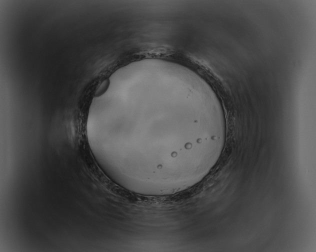 X0000095681399200801291147