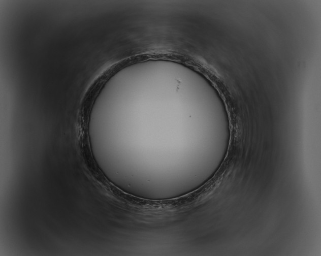 X0000095681400200801291147