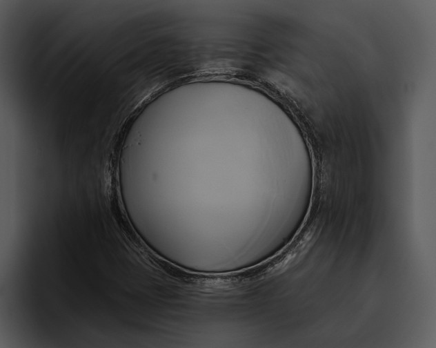 X0000095681401200801291147