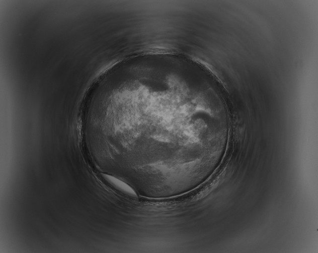 X0000095681402200801291147