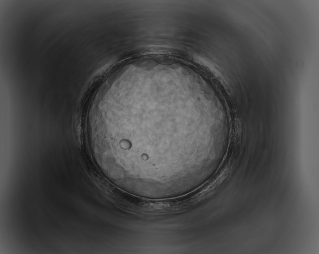 X0000095681403200801291147