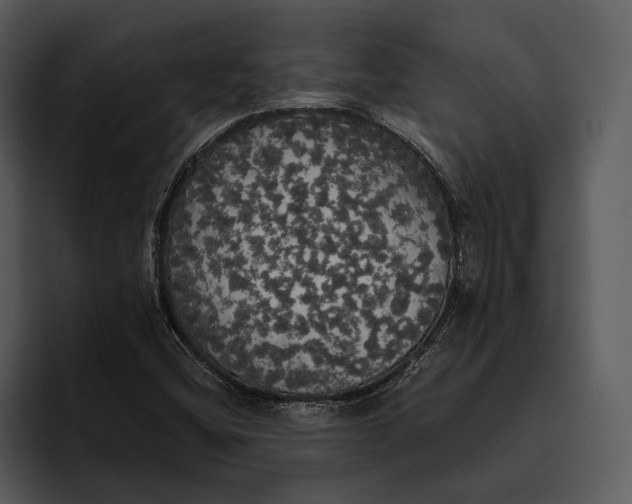 X0000095681404200801291147