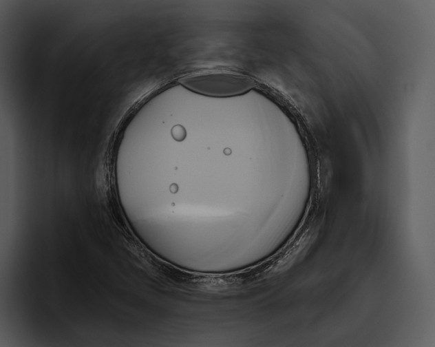 X0000095681405200801291147