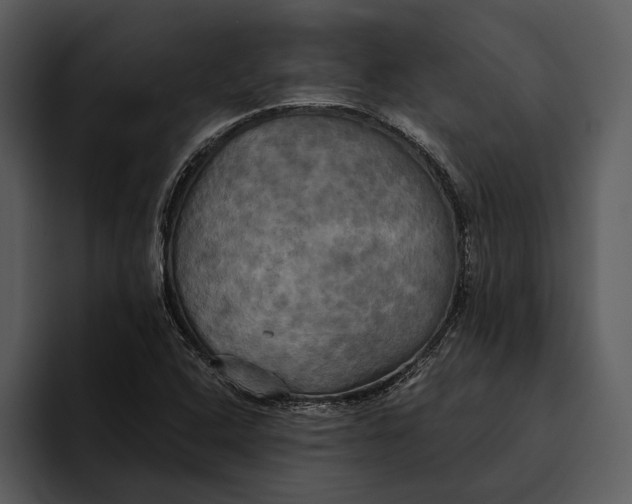 X0000095681408200801291148