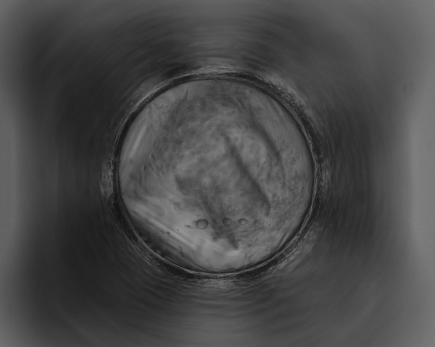 X0000095681409200801291148