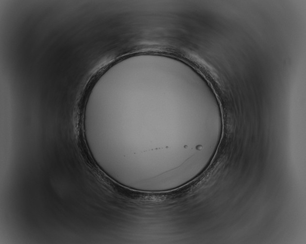 X0000095681411200801291148