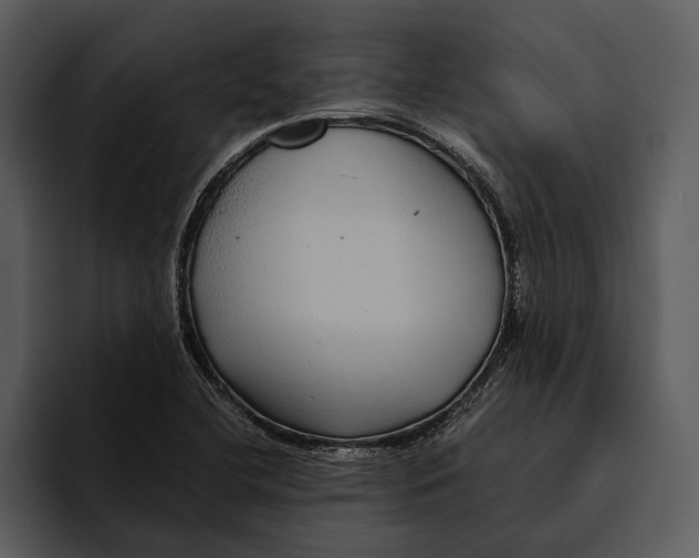 X0000095681412200801291148