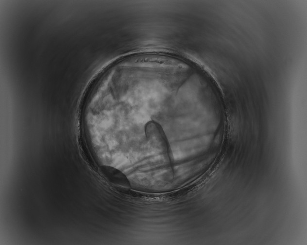 X0000095681415200801291148