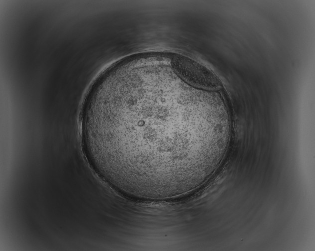 X0000095681416200801291148