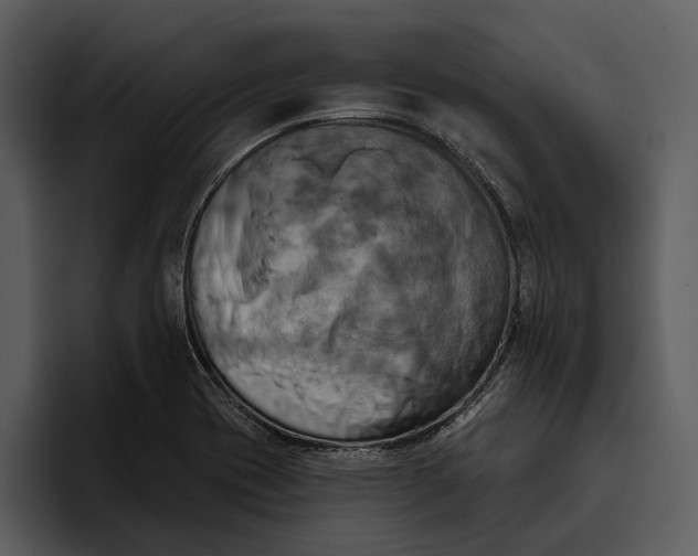 X0000095681417200801291148