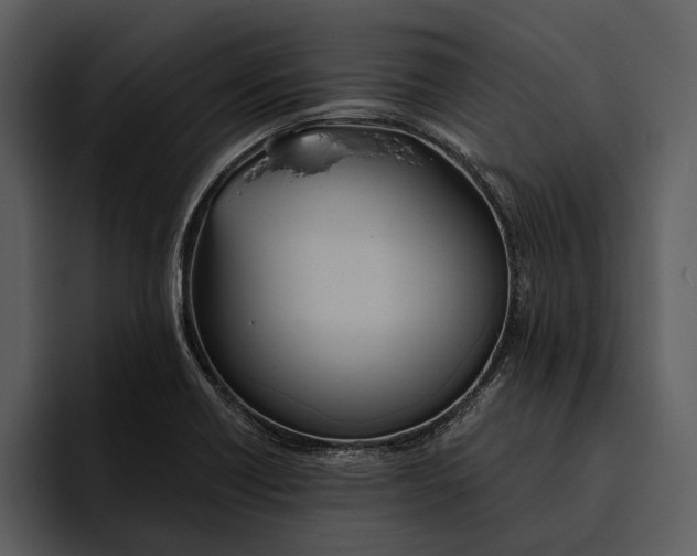 X0000095681418200801291148