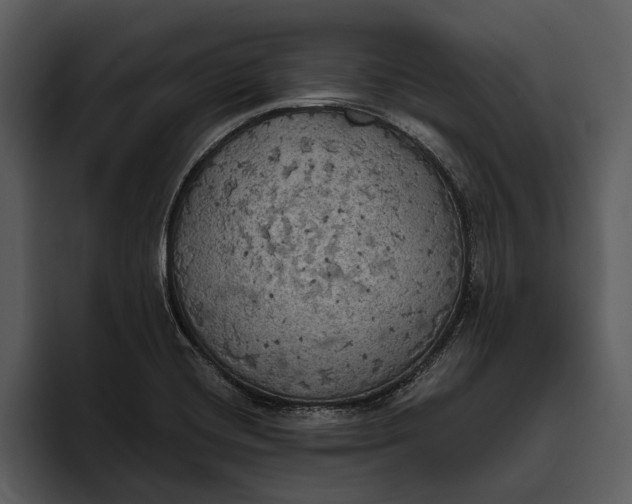 X0000095681420200801291148