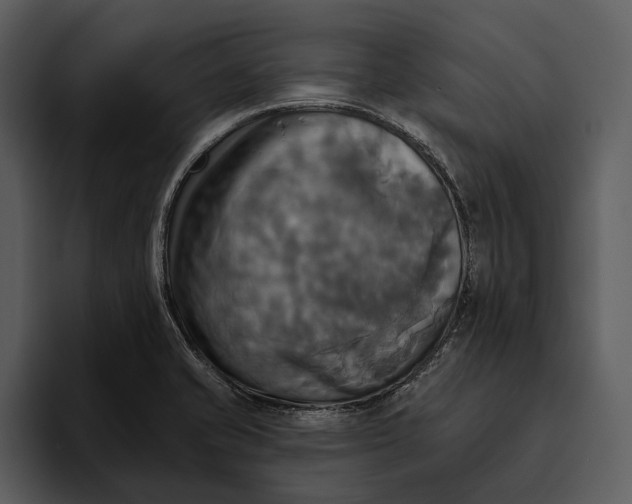 X0000095681421200801291148