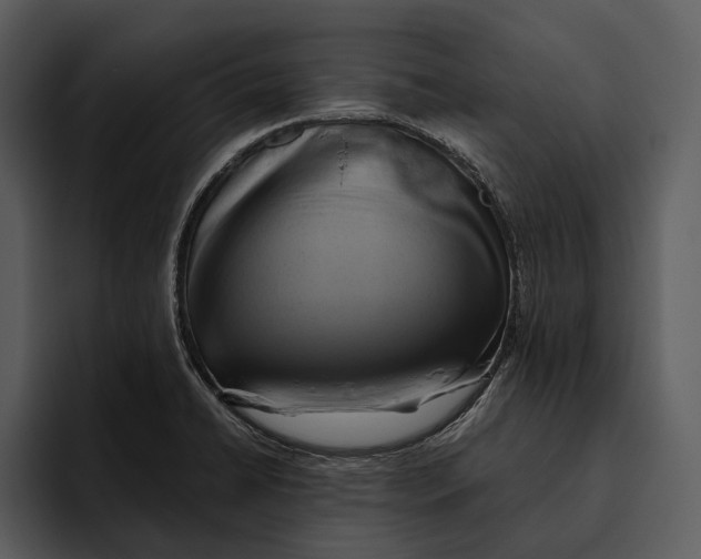 X0000095681422200801291148