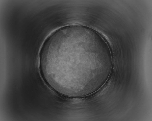 X0000095681424200801291148