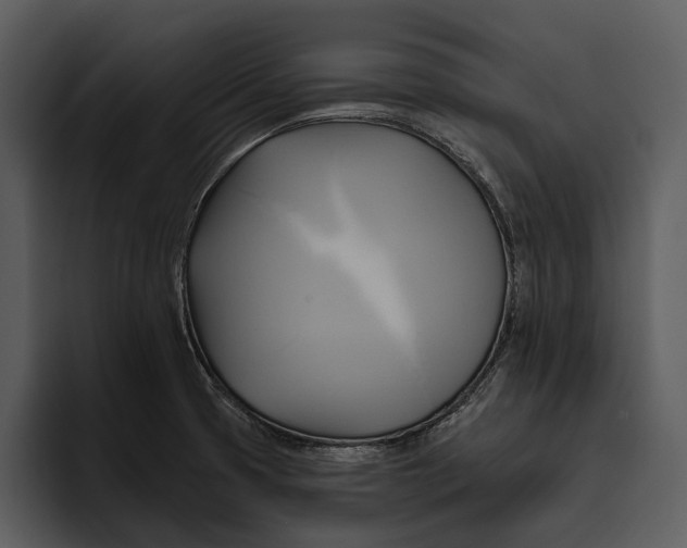 X0000095681425200801291148