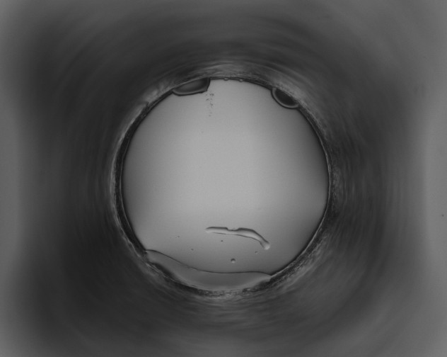 X0000095681426200801291148