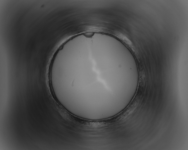 X0000095681427200801291148