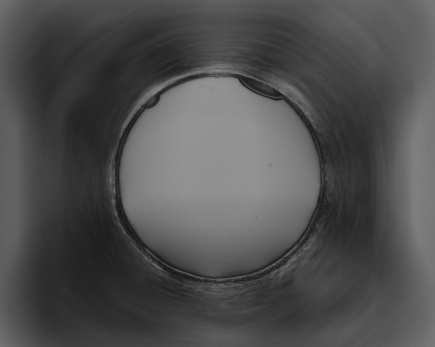 X0000095681428200801291148