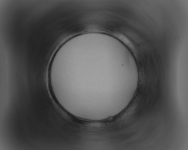 X0000095681431200801291148