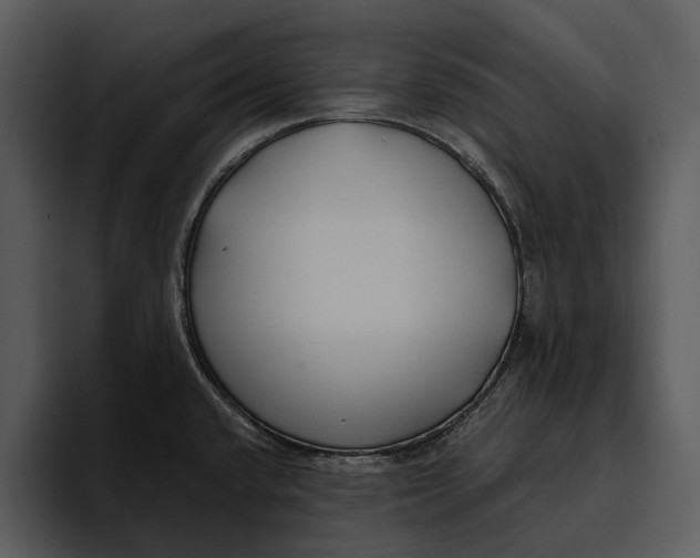 X0000095681432200801291148