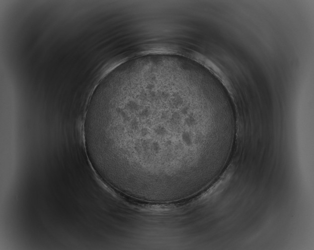 X0000095681433200801291148