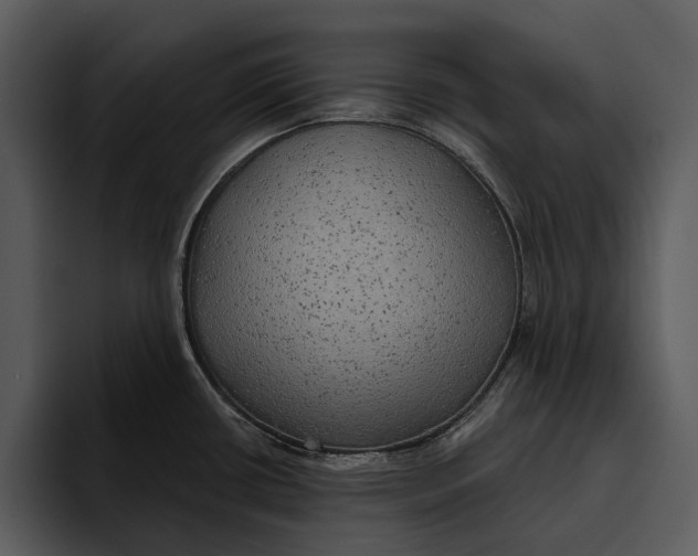 X0000095681434200801291148