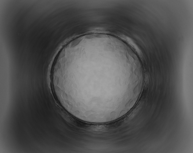 X0000095681435200801291148