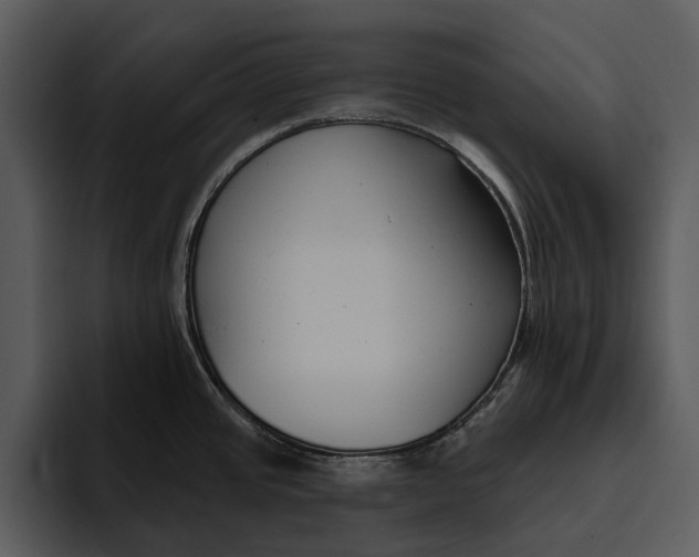 X0000095681437200801291148