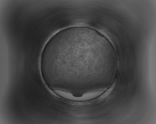 X0000095681438200801291148