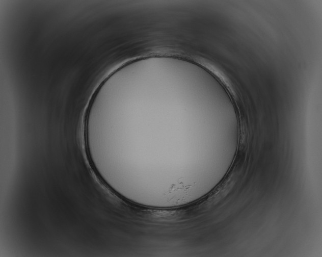 X0000095681439200801291148