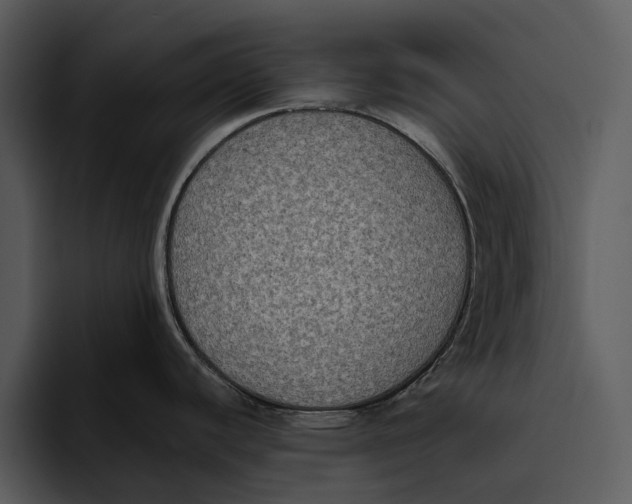 X0000095681440200801291148