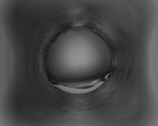 X0000095681441200801291147