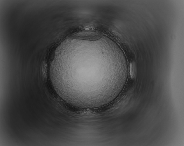 X0000095681443200801291147