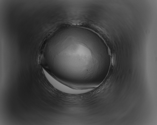 X0000095681444200801291147